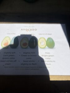 avocado-description
