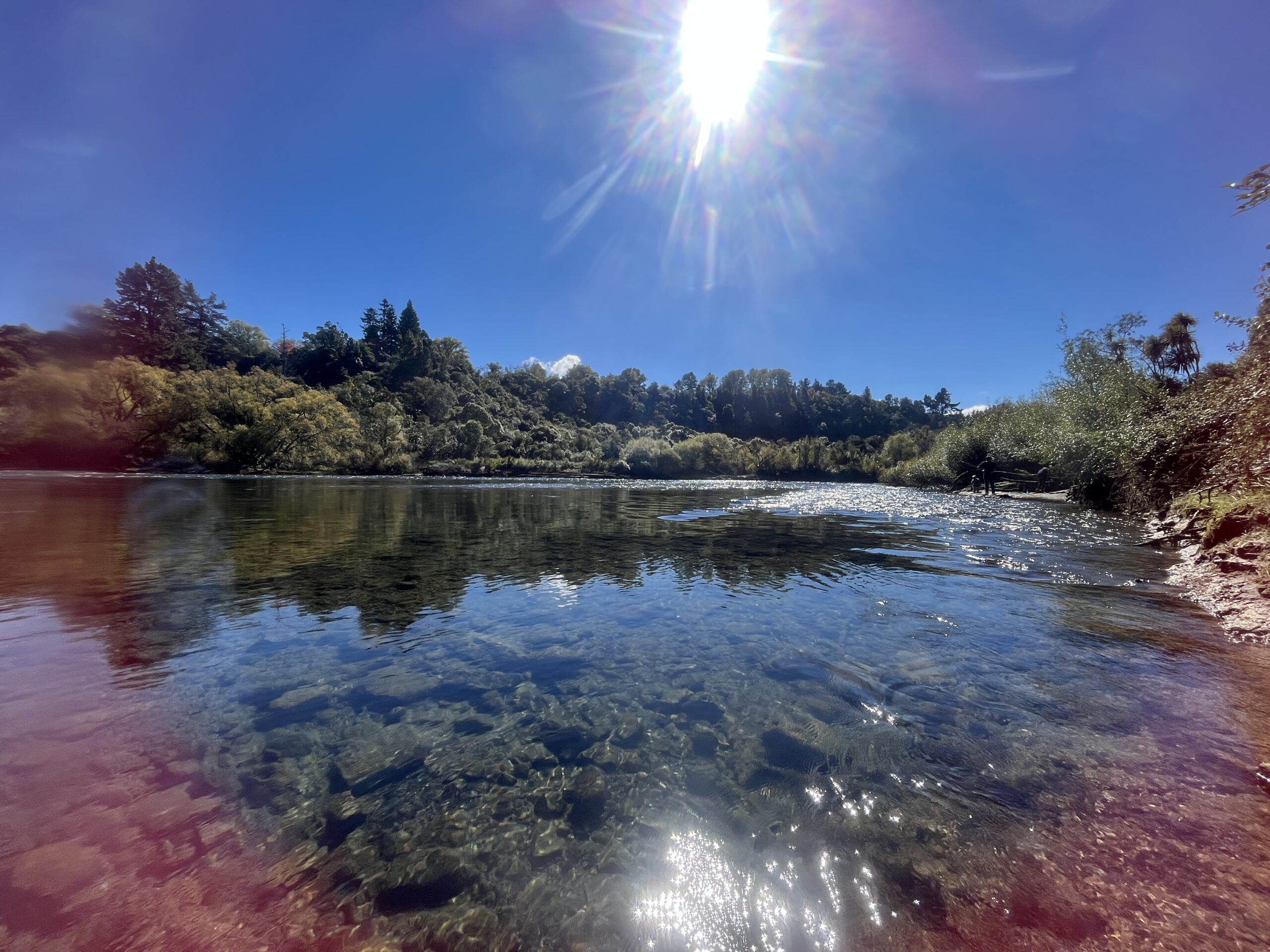 Waikato-river-near-huka-falls